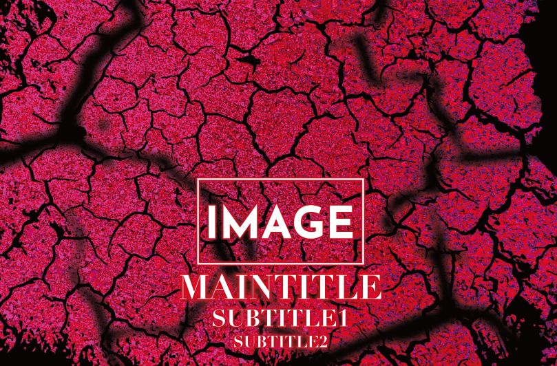 メンズオリシャン(メガオリシャン)のオリシャン、オリジナルシャンパン A-13